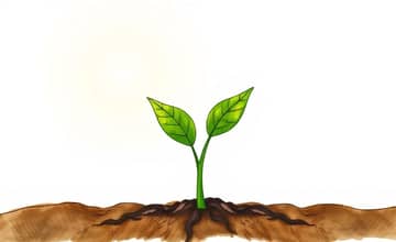 Small Cap, Big Potential: Exploring Growth Companies